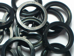 菠萝视频污版网址入口增压缸NOK气封